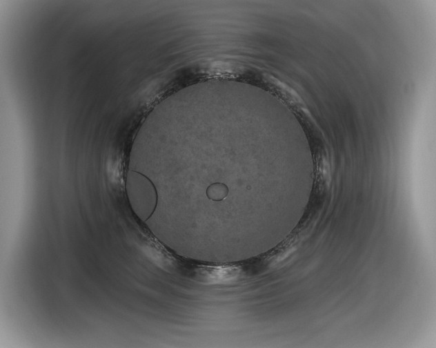 X0000116430663200912081525
