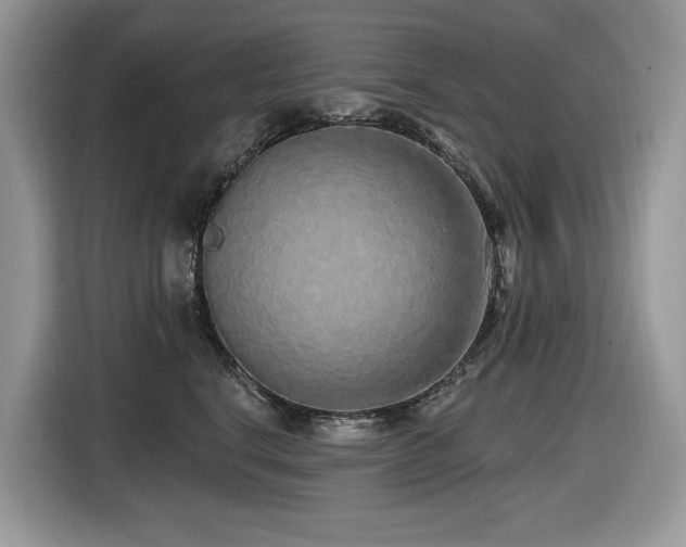 X0000116430664200912081525