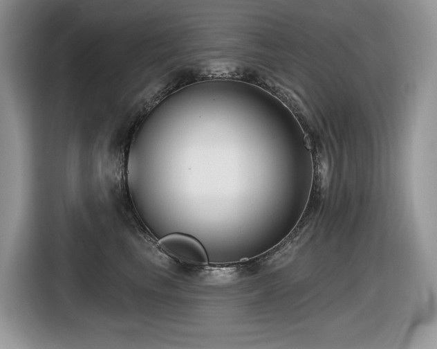 X0000116430665200912081525