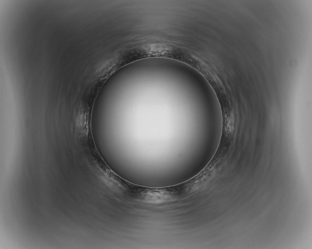 X0000116430666200912081525