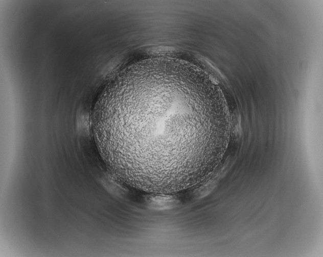 X0000116430669200912081525