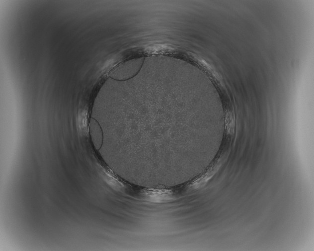 X0000116430670200912081525