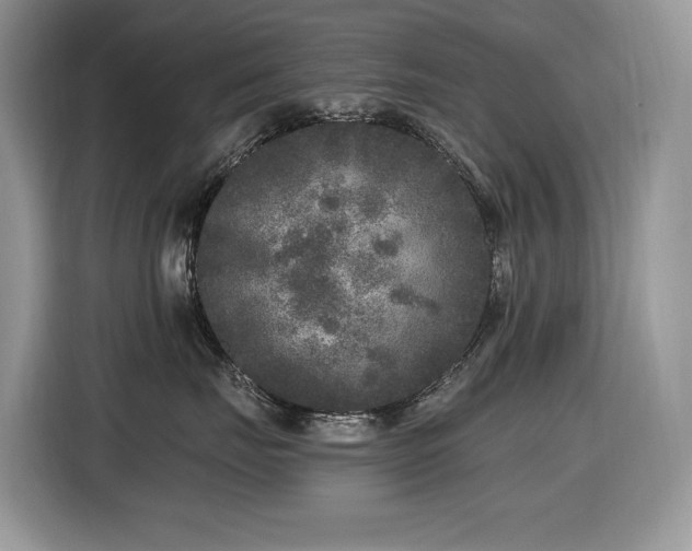 X0000116430671200912081525