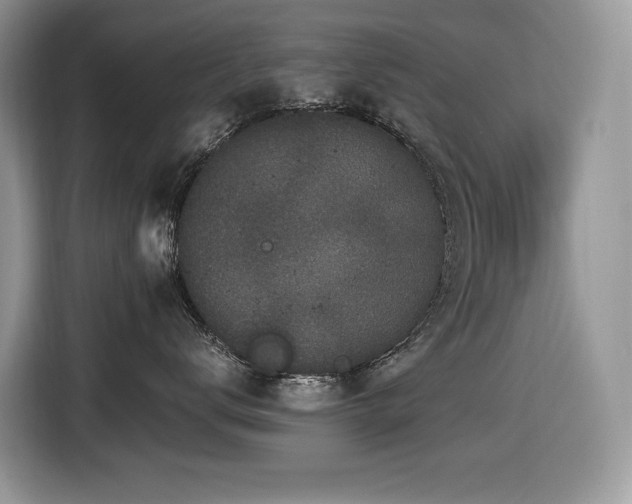 X0000116430672200912081525
