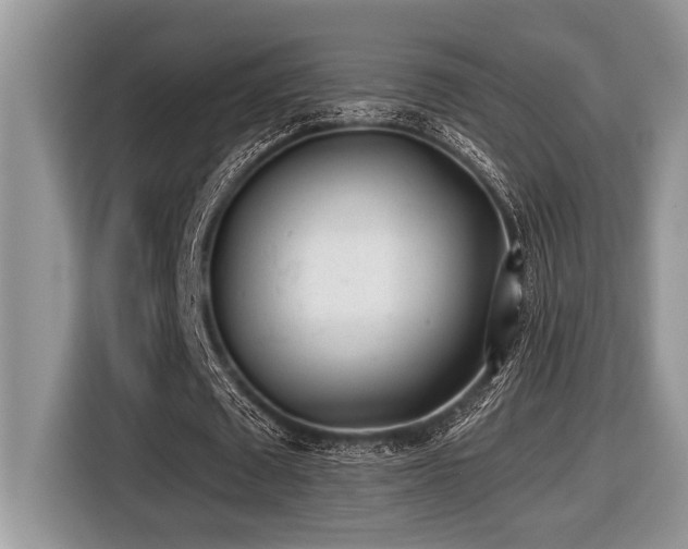 X0000116430673200912081525