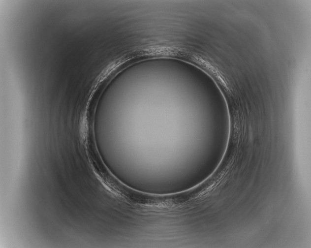 X0000116430674200912081525