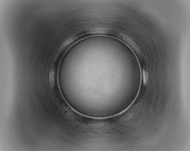 X0000116430675200912081525