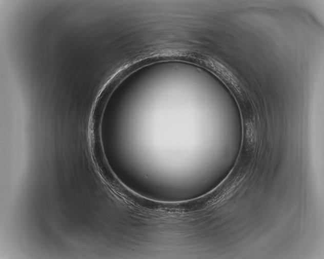 X0000116430676200912081525