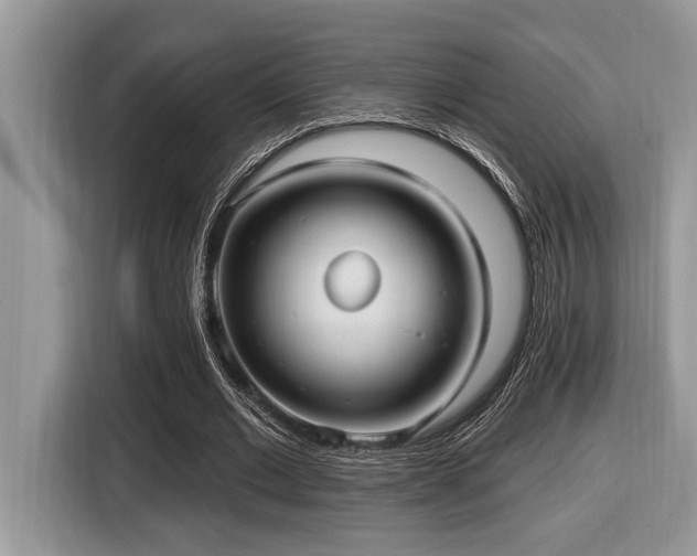 X0000116430677200912081525