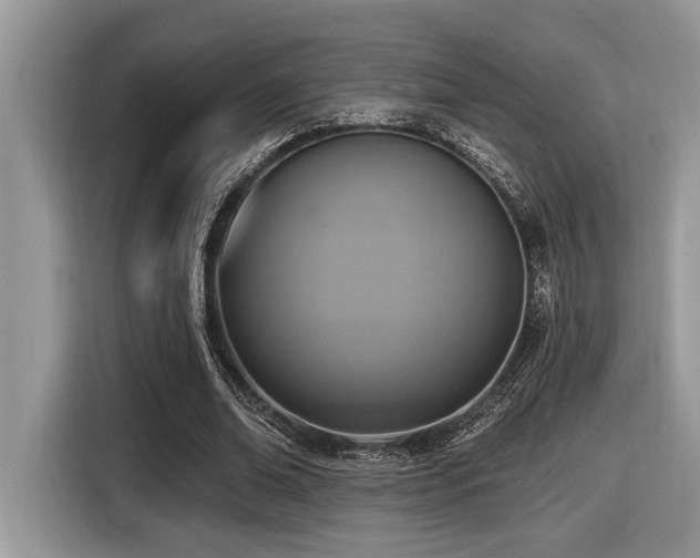 X0000116430678200912081525
