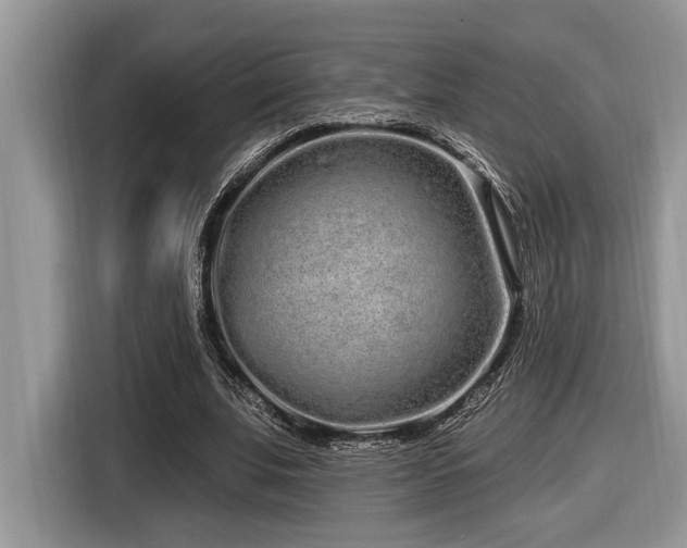 X0000116430679200912081525