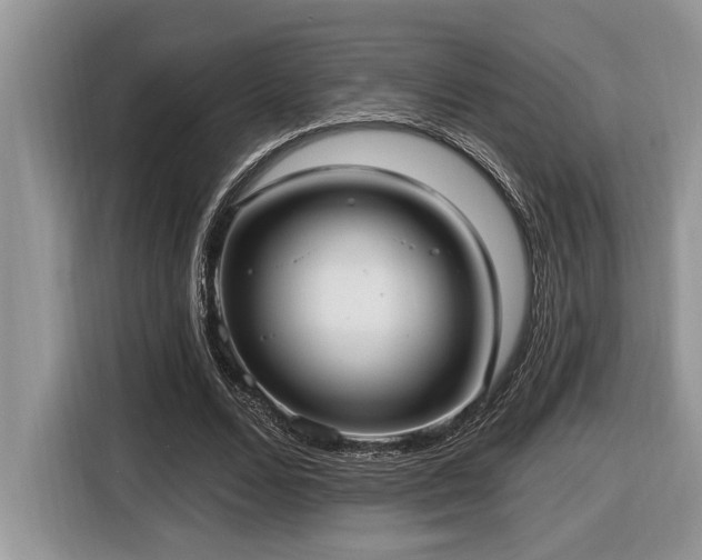 X0000116430680200912081525