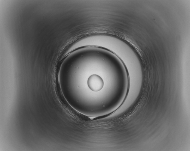 X0000116430681200912081525