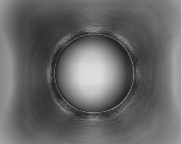 X0000116430682200912081525