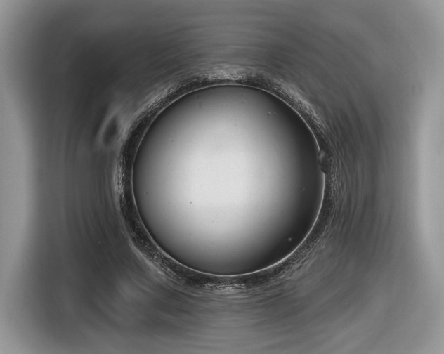 X0000116430683200912081525