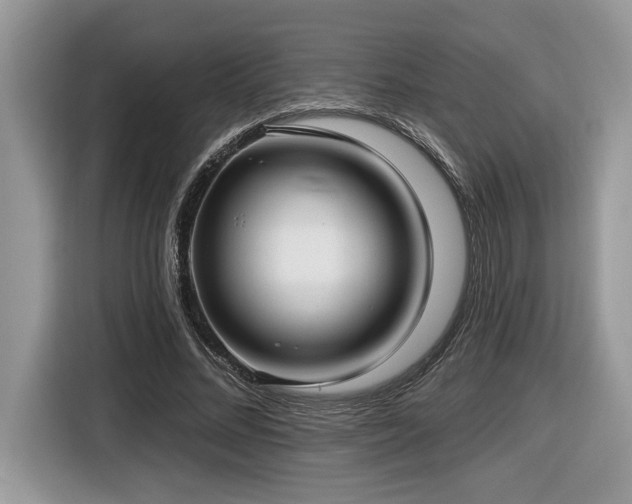 X0000116430684200912081524