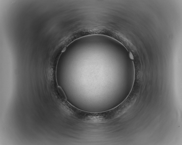 X0000116430689200912081524