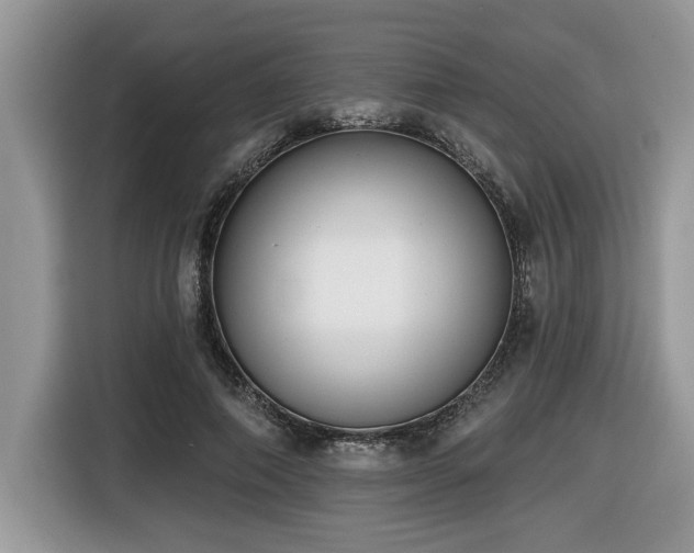 X0000116430690200912081524