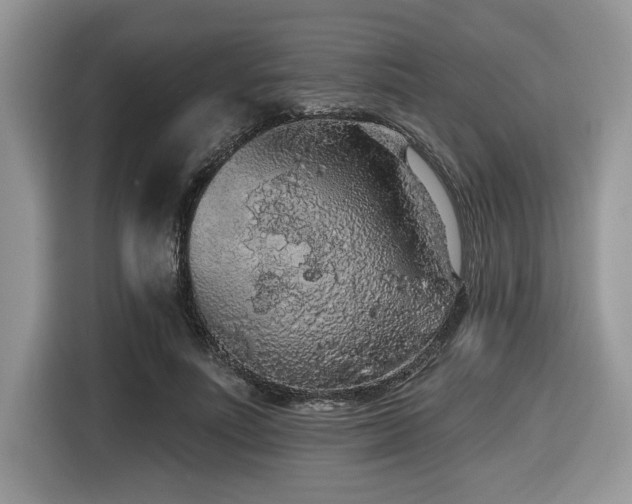 X0000116430691200912081524