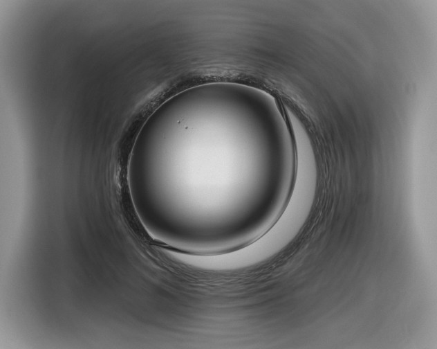 X0000116430692200912081524