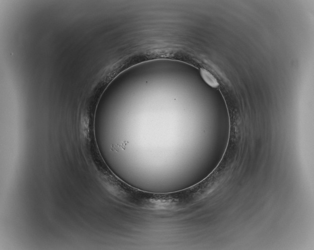 X0000116430693200912081524