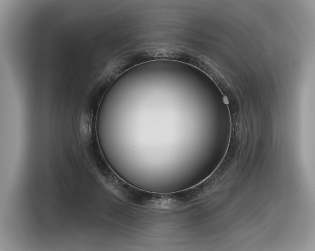 X0000116430695200912081524