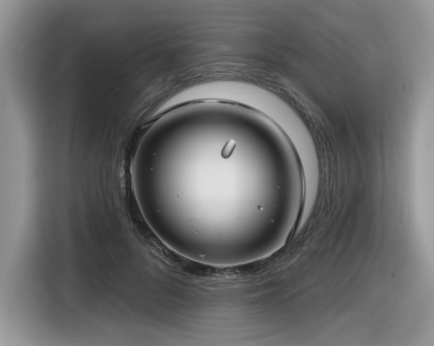 X0000116430696200912081524