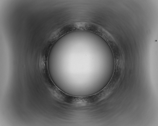 X0000116430702200912081524