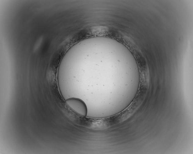 X0000116430705200912081524