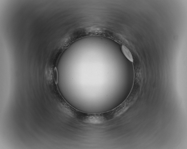 X0000116430708200912081524
