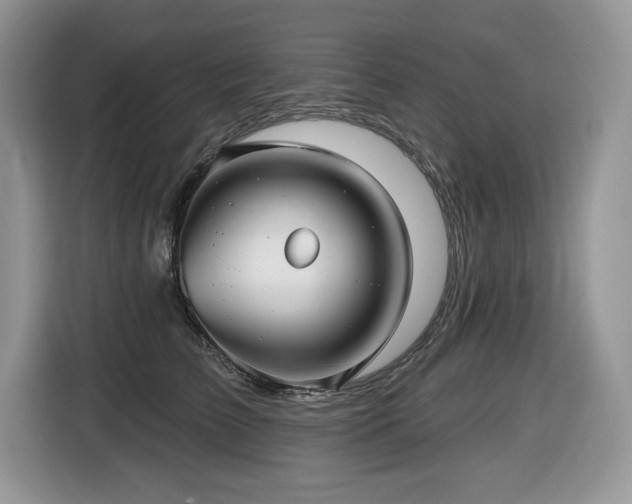 X0000116430709200912081524