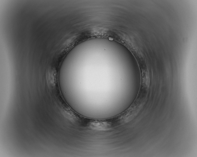 X0000116430712200912081524