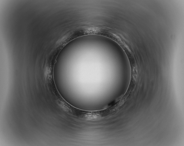 X0000116430714200912081524