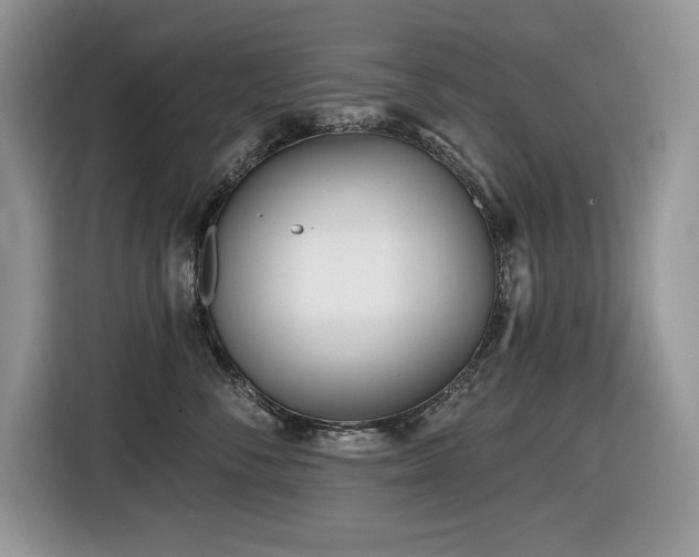 X0000116430716200912081524