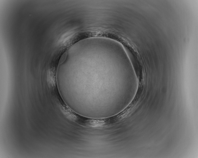 X0000116430719200912081524