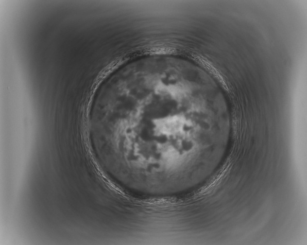 X0000116430721200912081523