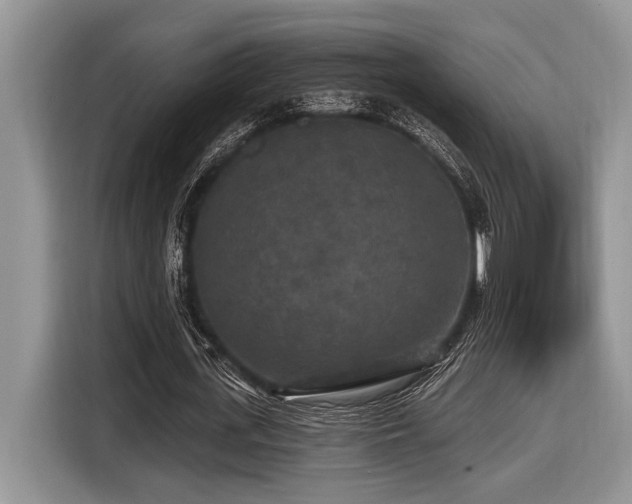 X0000116430723200912081523