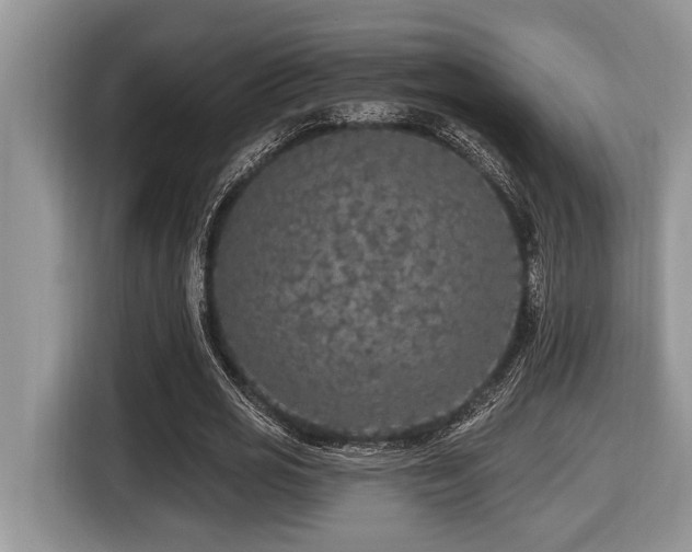 X0000116430725200912081523