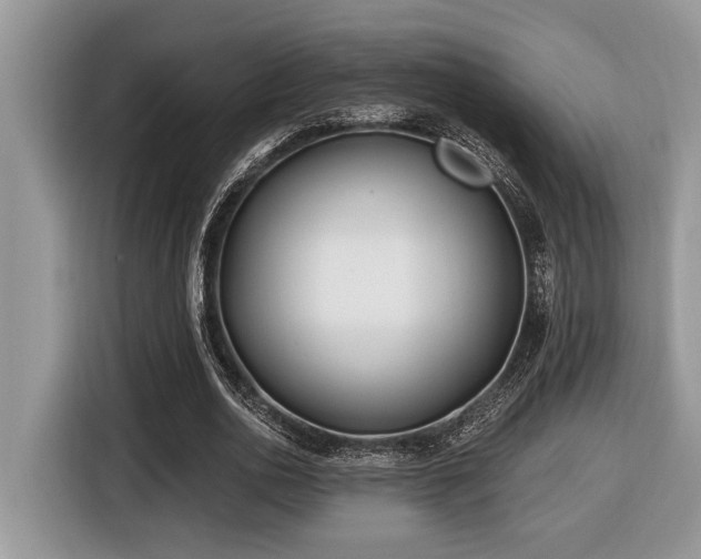 X0000116430726200912081523