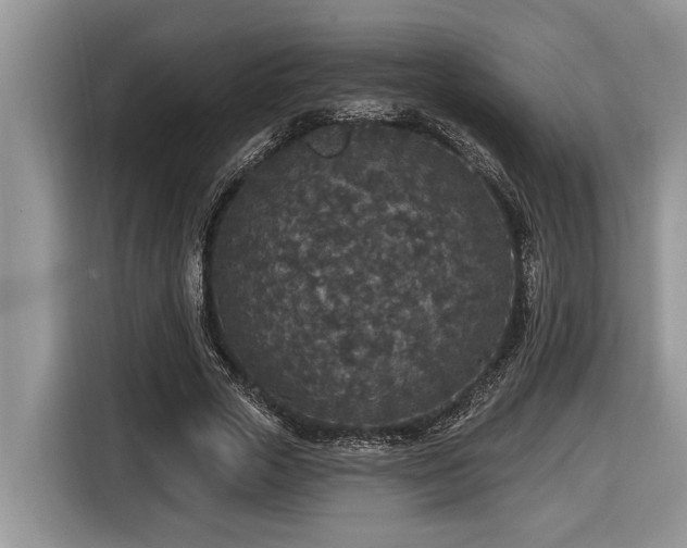 X0000116430729200912081524