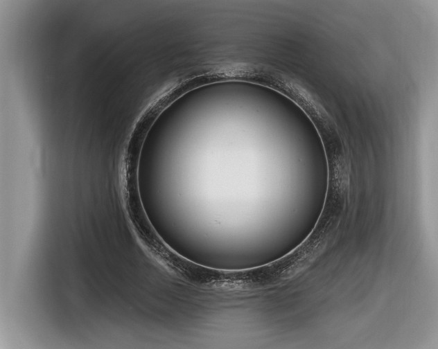 X0000116430730200912081524