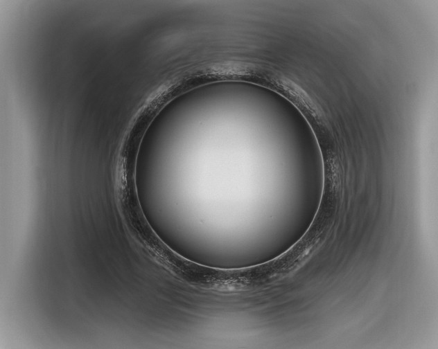 X0000116430731200912081524