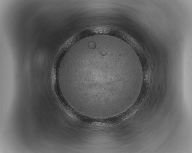 X0000116430733200912081524