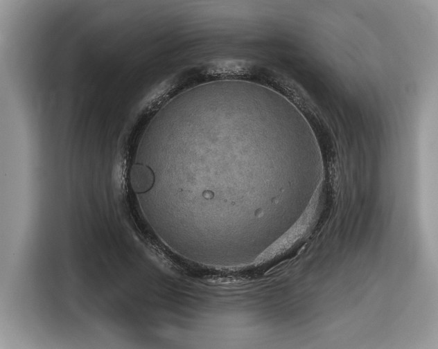 X0000116430735200912081524