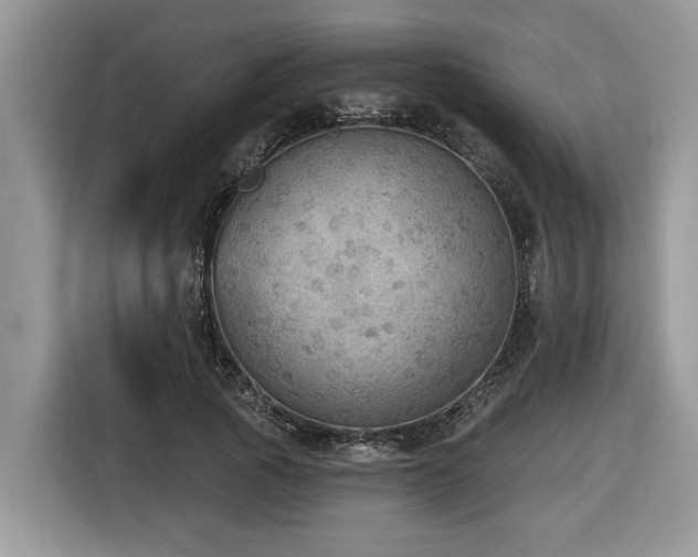 X0000116430737200912081524