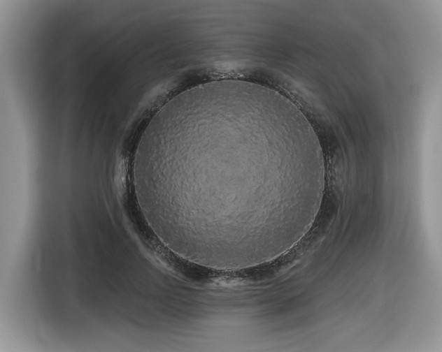 X0000116430742200912081524