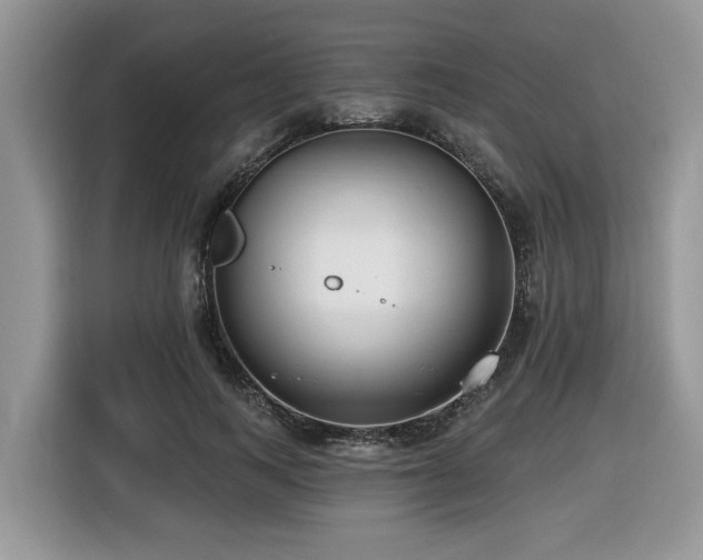X0000116430743200912081524