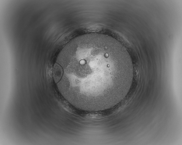 X0000116430745200912081524