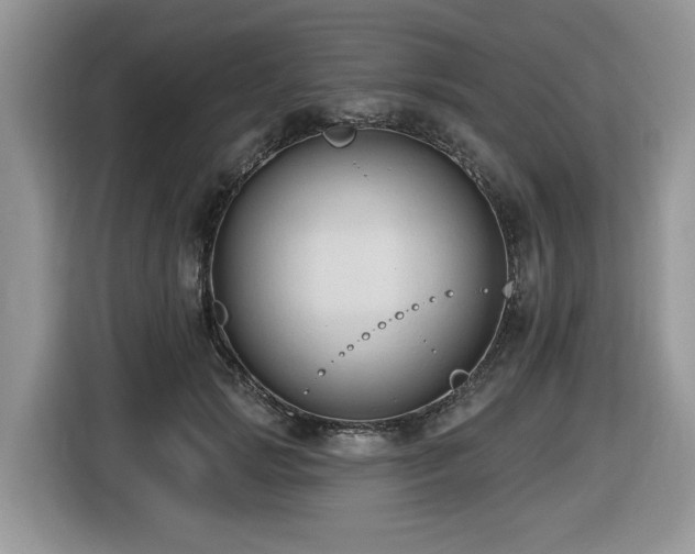 X0000116430749200912081524