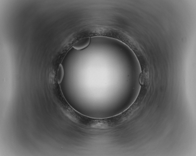 X0000116430750200912081524